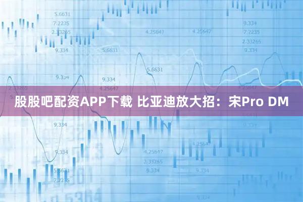 股股吧配资APP下载 比亚迪放大招：宋Pro DM