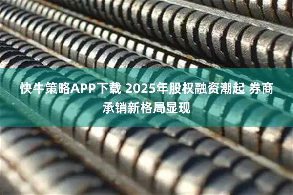 快牛策略APP下载 2025年股权融资潮起 券商承销新格局显现